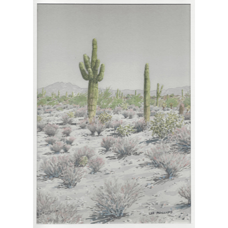 Saguaros Vista by Lee Phillips #1119