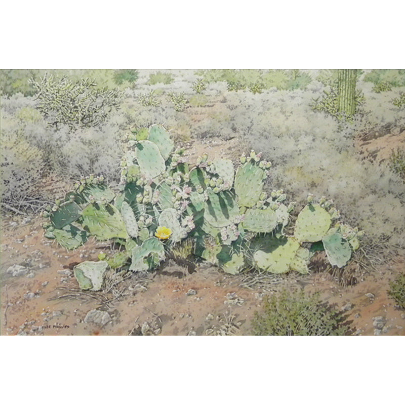 Prickly Pear in Early Spring by Lee Phillips #315