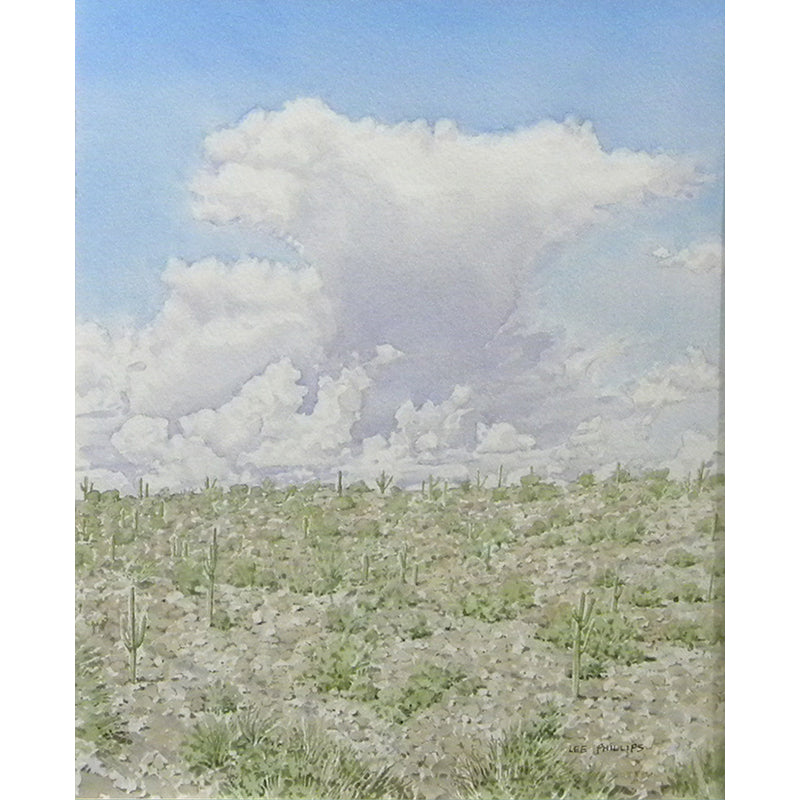 Storm Clouds Over High Desert by Lee Phillips #567