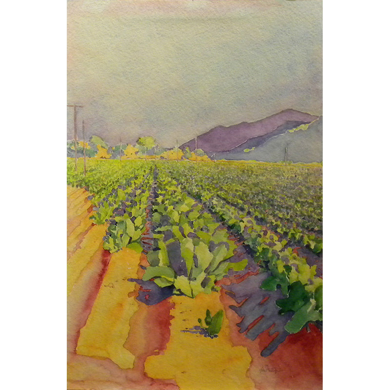 Lettuce Fields in the Salinas V  by Lee Phillips #588