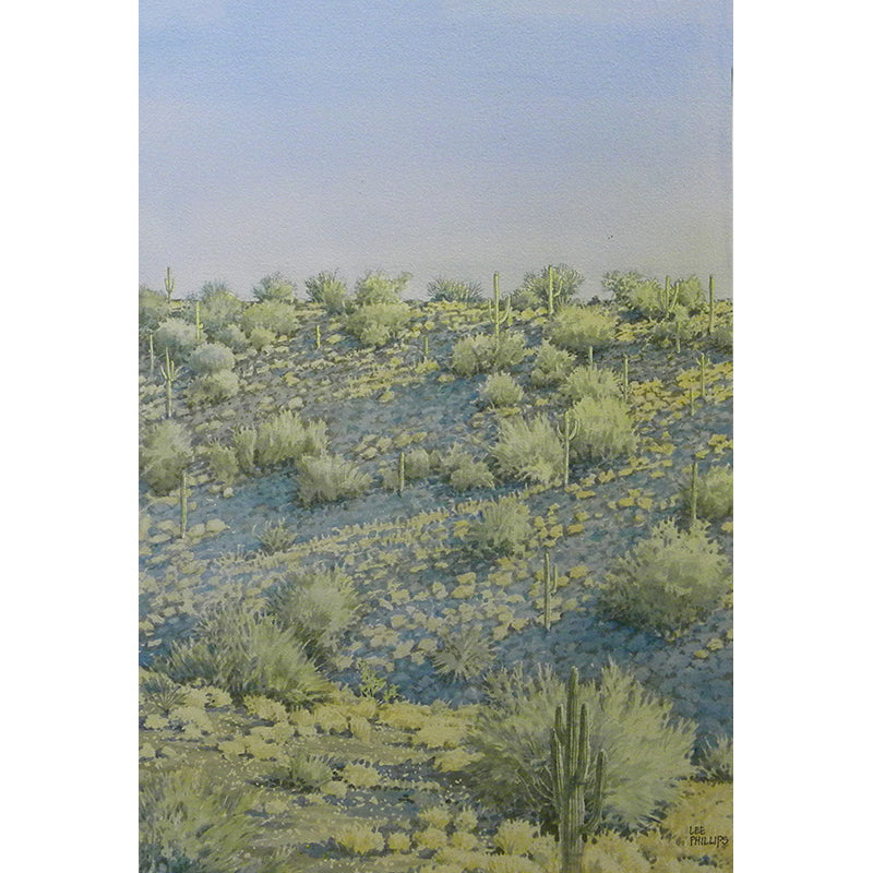 Desert Hillside at Dusk by Lee Phillips #591