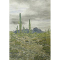 Saguaros After the Rain by Lee Phillips #592