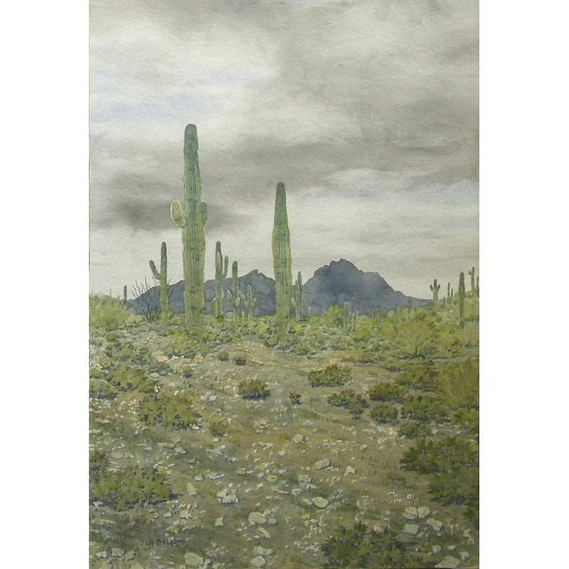 Saguaros After the Rain by Lee Phillips #592
