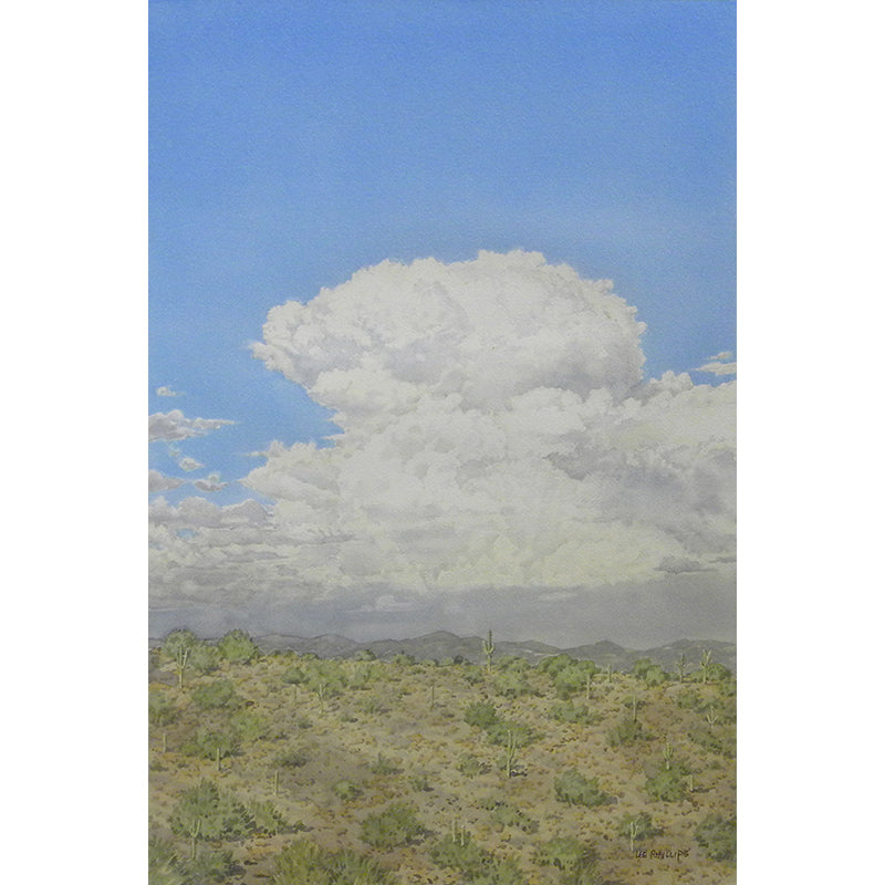 Monsoon Clouds Gathering by Lee Phillips #594