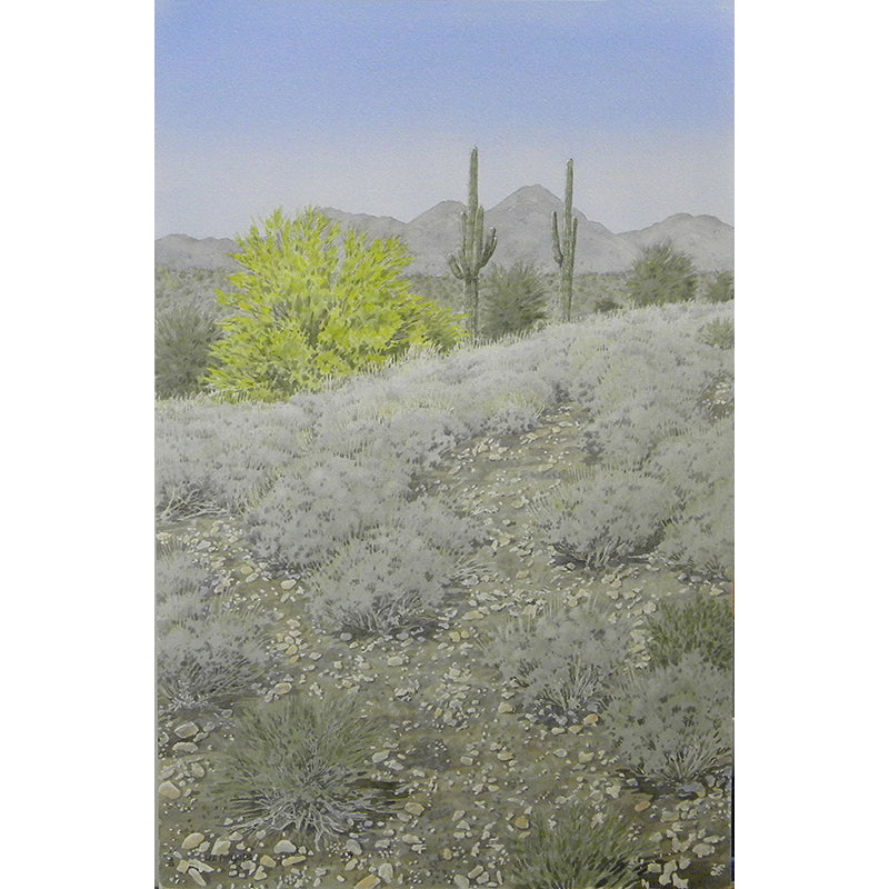Saguaros, Palo Verde and Mountains by Lee Phillips #595