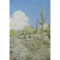 Summer Clouds in the Desert by Lee Phillips #596