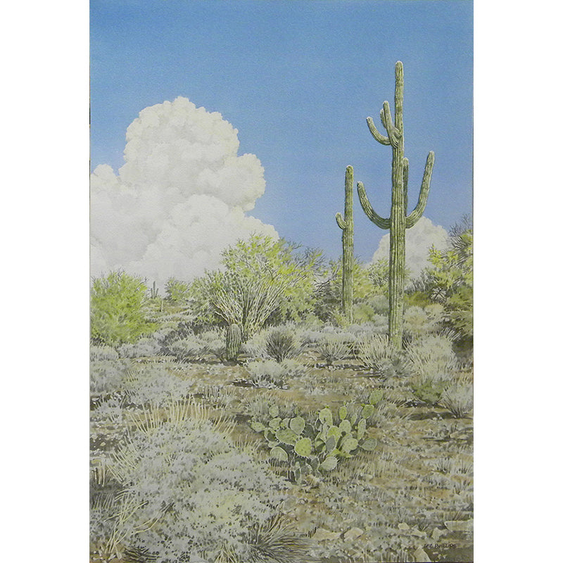 Summer Clouds in the Desert by Lee Phillips #596