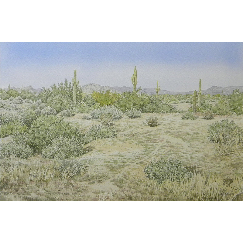 Desert Vista at Ft. McDowell by Lee Phillips #599