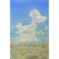 Summer Clouds Over the Desert by Lee Phillips #601