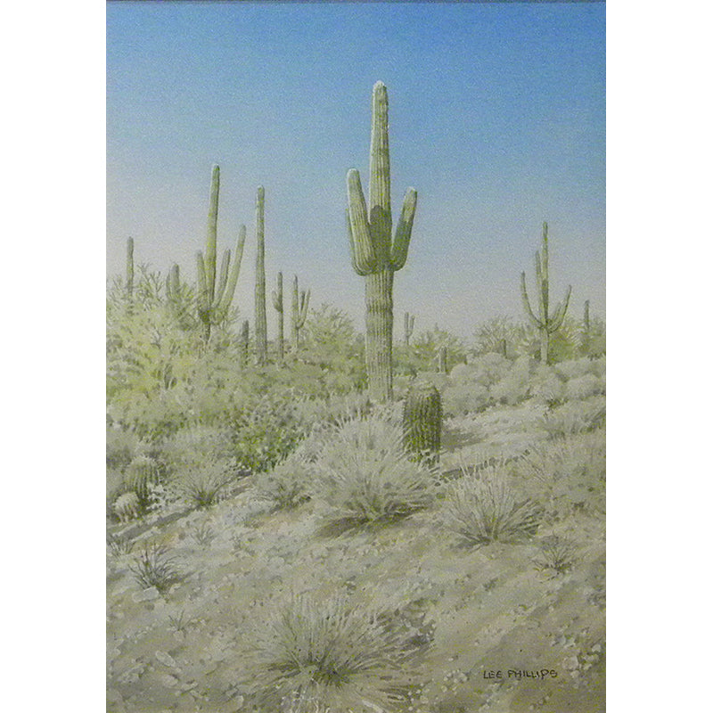 Saguaros and Barrels by Lee Phillips #604