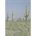 Saguaro and a Cholla by Lee Phillips #605