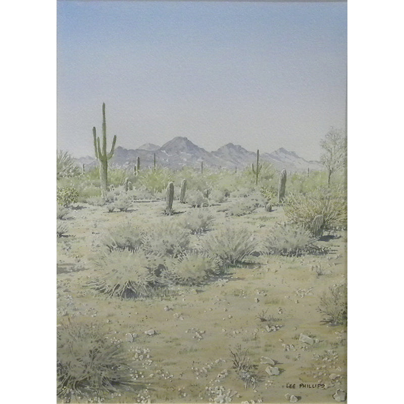 Saguaros and Mountains by Lee Phillips #606