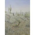 Cholla Trail by Lee Phillips #607