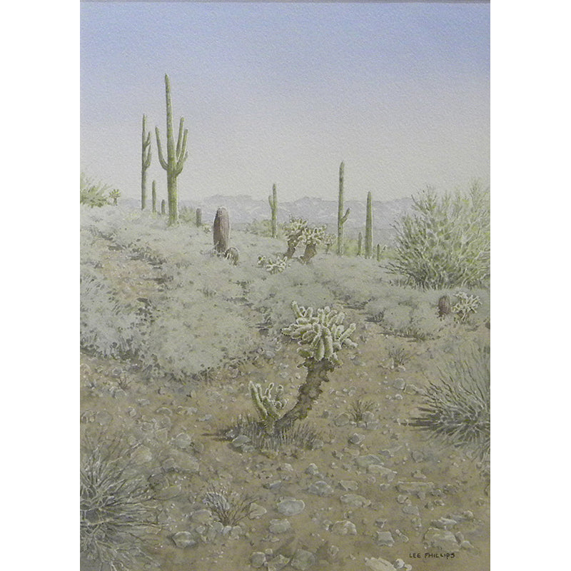 Cholla Trail by Lee Phillips #607