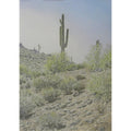 Hillside Saguaros by Lee Phillips #610