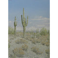 Desert Afternoon Landscape by Lee Phillips #611