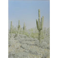 Saguaro Landscape by Lee Phillips #612
