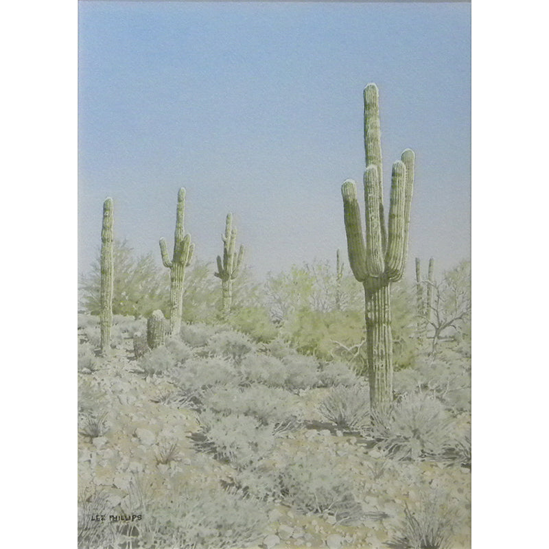 Saguaro Landscape by Lee Phillips #612