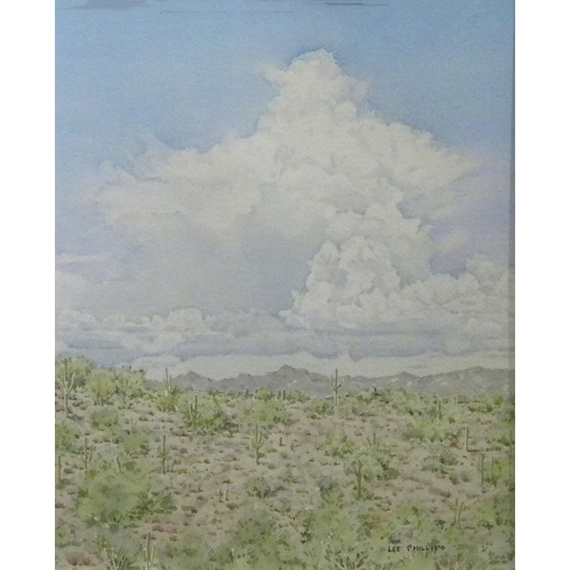 Distant Desert Vista Under Monsoon Clouds by Lee Phillips #616