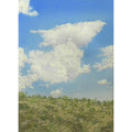 Summer Clouds over the Desert by Lee Phillips #617