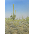 Many-armed Saguaro by Lee Phillips #621