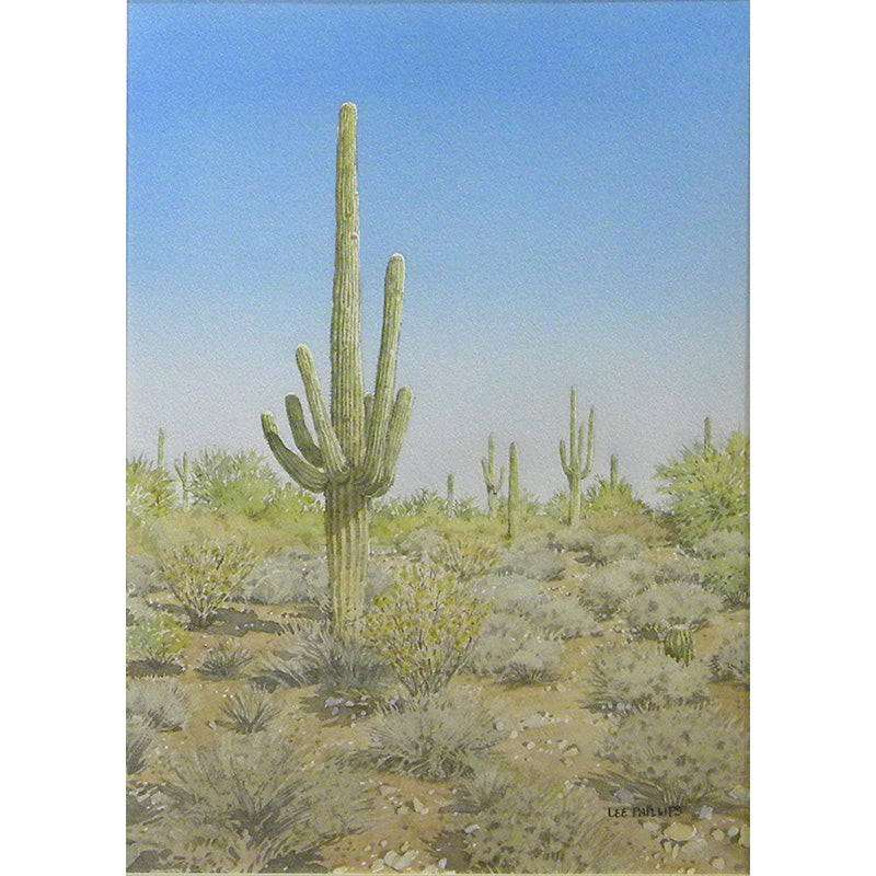 Many-armed Saguaro by Lee Phillips #621