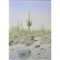 Saguaros, Chollas and Barrels by Lee Phillips #624