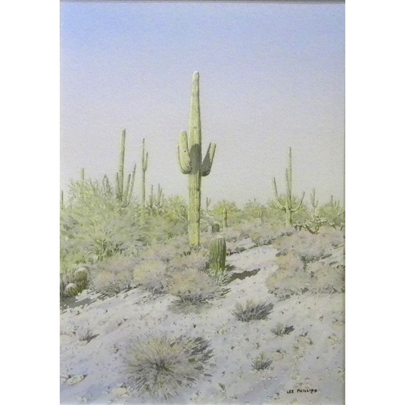 Saguaros, Chollas and Barrels by Lee Phillips #624