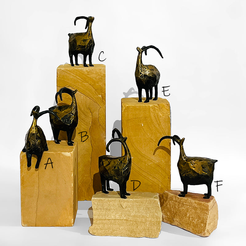 Stargazer-Mini by Jill Shwaiko #SG-Mi-F