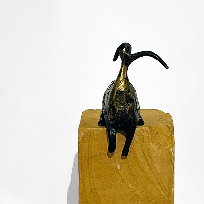 Mini Seated Stargazer by Jill Shwaiko #SeaSG-Mi