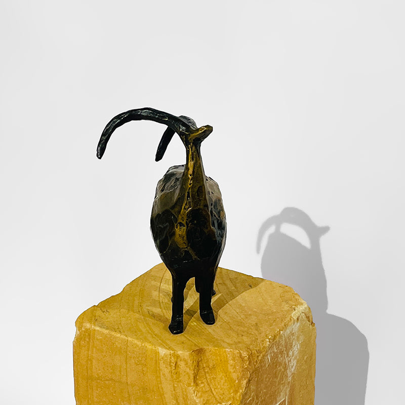 Stargazer-Mini by Jill Shwaiko #SG-Mi-B