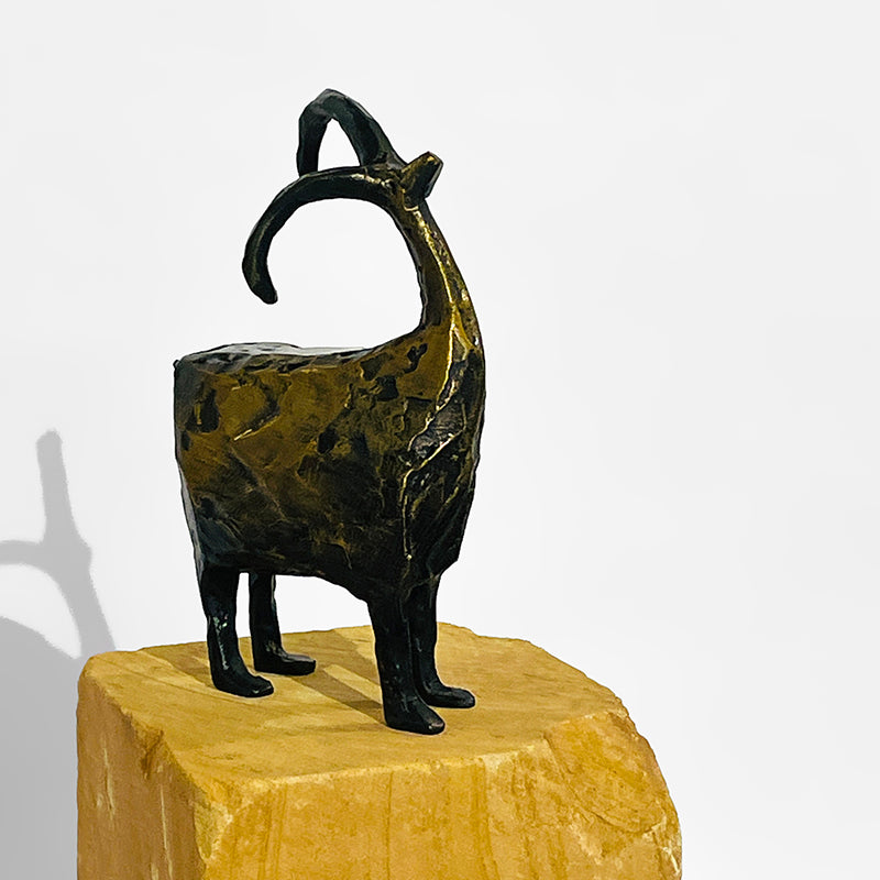 Stargazer-Mini by Jill Shwaiko #SG-Mi-D