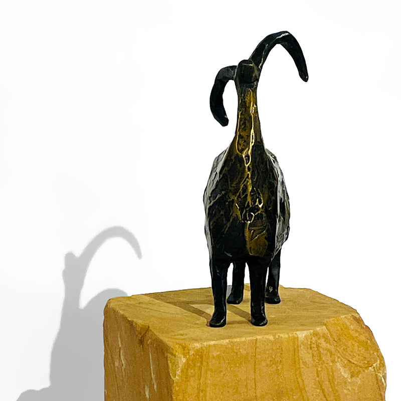 Stargazer-Mini by Jill Shwaiko #SG-Mi-D