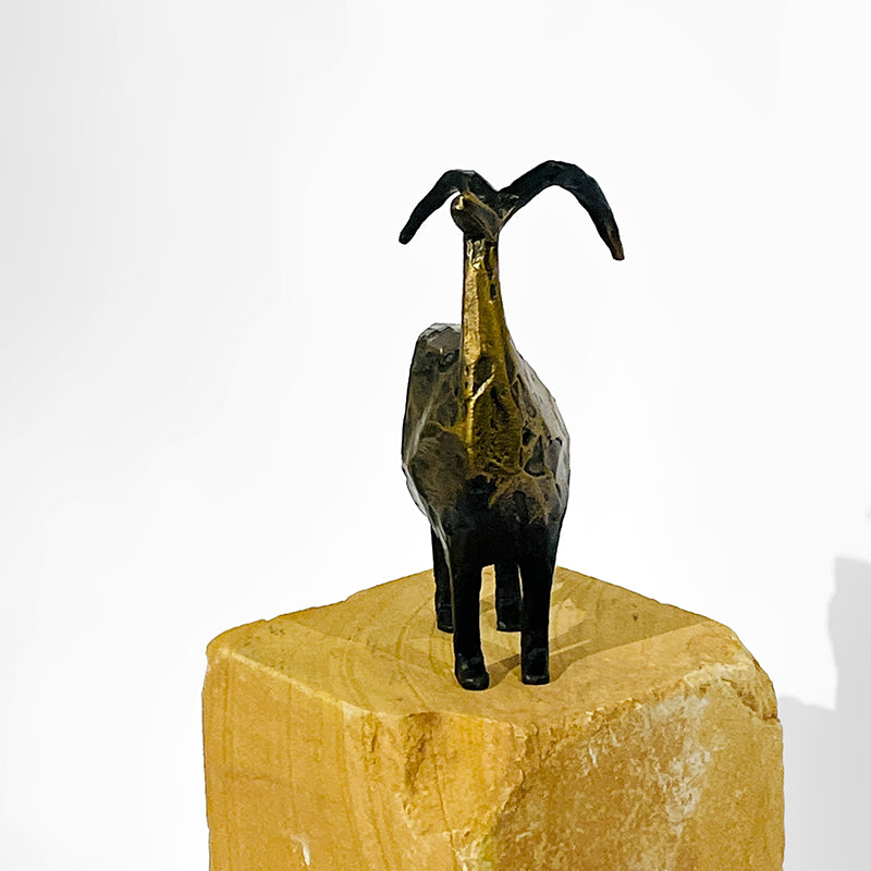 Stargazer-Mini by Jill Shwaiko #SG-Mi-E