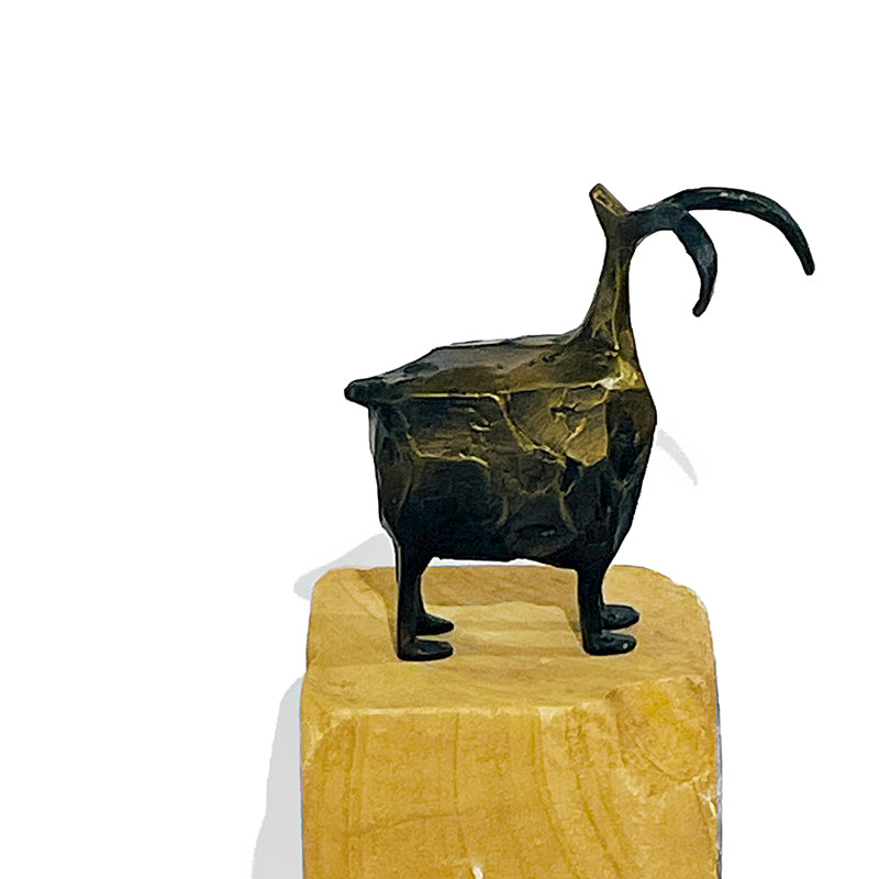 Stargazer-Mini by Jill Shwaiko #SG-Mi-F